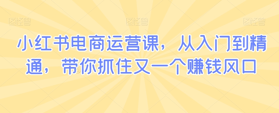 小红书电商运营课，从入门到精通，带你抓住又一个赚钱风口-甬战资源库