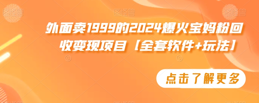 外面卖1999的2024爆火宝妈粉回收变现项目【全套软件+玩法】【揭秘】-甬战资源库