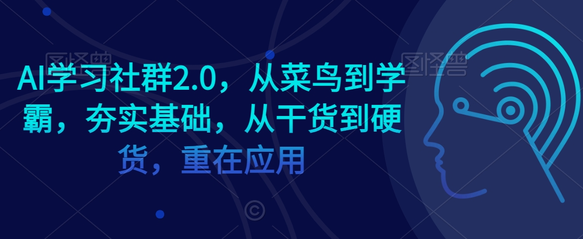 AI学习社群2.0，从菜鸟到学霸，夯实基础，从干货到硬货，重在应用-甬战资源库