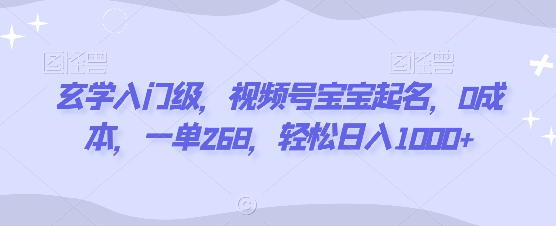 玄学入门级，视频号宝宝起名，0成本，一单268，轻松日入1000+【揭秘】-甬战资源库