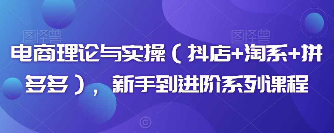 电商理论与实操（抖店+淘系+拼多多），新手到进阶系列课程-甬战资源库