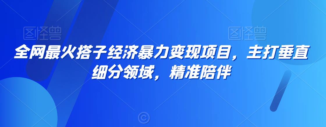 全网最火搭子经济暴力变现项目，主打垂直细分领域，精准陪伴【揭秘】-甬战资源库