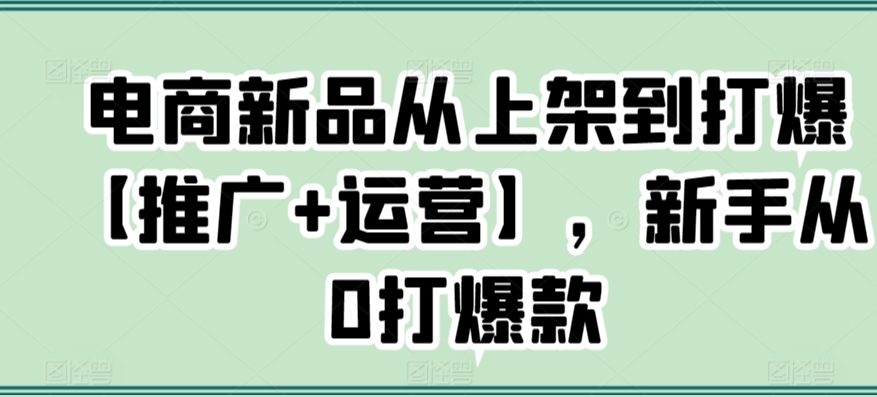 电商新品从上架到打爆【推广+运营】，新手从0打爆款-甬战资源库