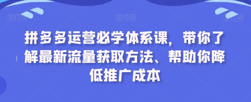 拼多多运营必学体系课，带你了解最新流量获取方法、帮助你降低推广成本-甬战资源库