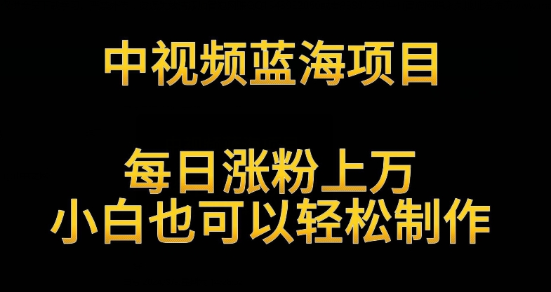 中视频蓝海项目，解读英雄人物生平，每日涨粉上万，小白也可以轻松制作，月入过万不是梦【揭秘】-甬战资源库