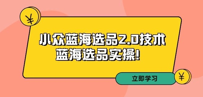 拼多多培训第33期：小众蓝海选品2.0技术-蓝海选品实操！-甬战资源库