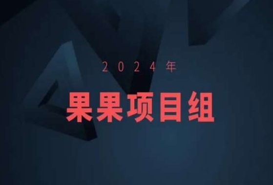 2024年果果项目组项目合集-果果最新项目-甬战资源库
