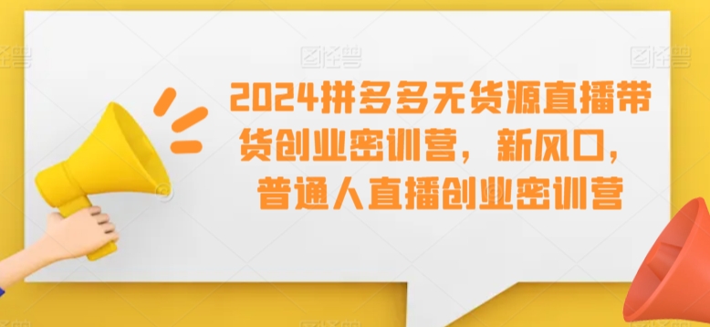 2024拼多多无货源直播带货创业密训营，新风口，普通人直播创业密训营-甬战资源库