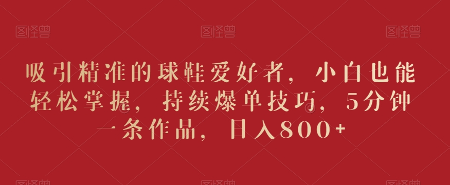 吸引精准的球鞋爱好者，小白也能轻松掌握，持续爆单技巧，5分钟一条作品，日入800+【揭秘】-甬战资源库