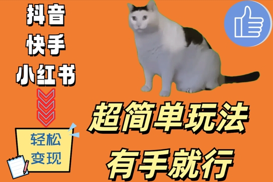 超简单玩法，有手就行，靠猫咪视频日入500+【揭秘】-甬战资源库