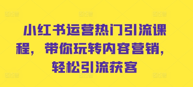 小红书运营热门引流课程，带你玩转内容营销，轻松引流获客-甬战资源库