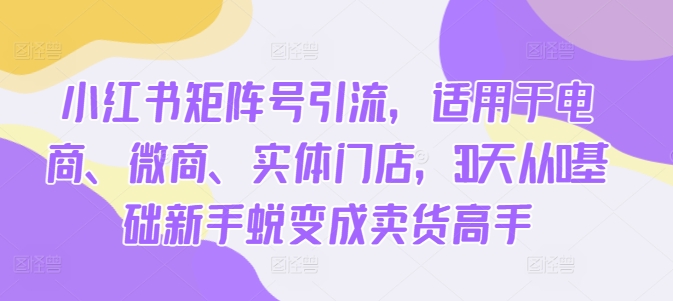 小红书矩阵号引流，适用于电商、微商、实体门店，30天从0基础新手蜕变成卖货高手-甬战资源库