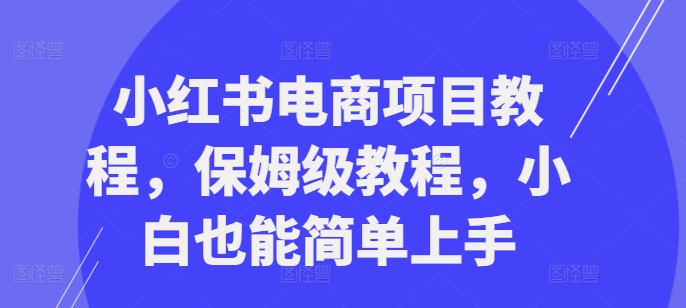 小红书电商项目教程，保姆级教程，小白也能简单上手-甬战资源库