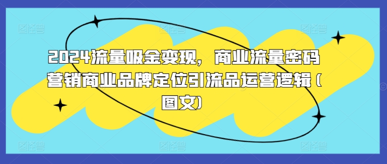 2024流量吸金变现，商业流量密码营销商业品牌定位引流品运营逻辑(图文)-甬战资源库