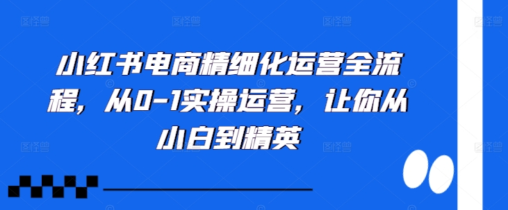 小红书电商精细化运营全流程，从0-1实操运营，让你从小白到精英-甬战资源库
