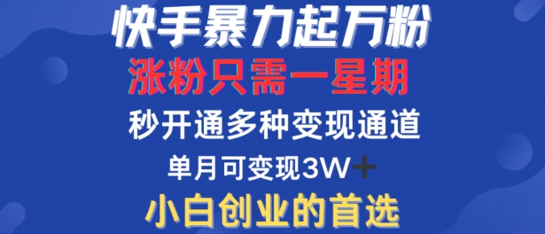 快手暴力起万粉，涨粉只需一星期，多种变现模式，直接秒开万合，单月变现过W【揭秘】-甬战资源库