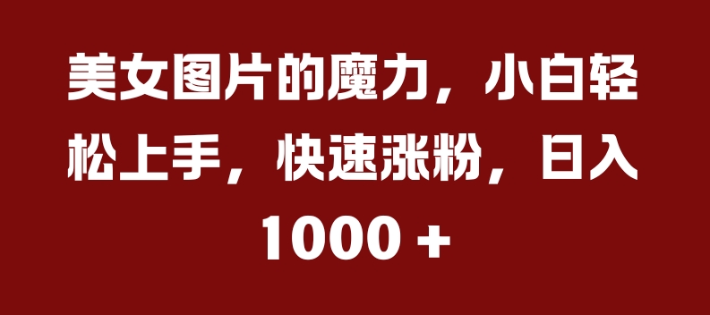 美女图片的魔力，小白轻松上手，快速涨粉，日入几张【揭秘】-甬战资源库