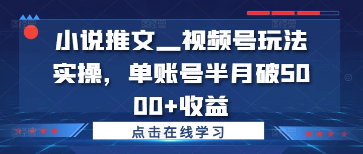 小说推文—视频号玩法实操，单账号半月破5000+收益-甬战资源库
