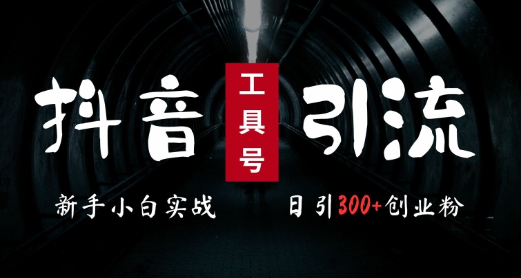 2024最新抖音工具号引流玩法，高效日引300+创业粉，当天变现5k，小白也可成为实战高手-甬战资源库