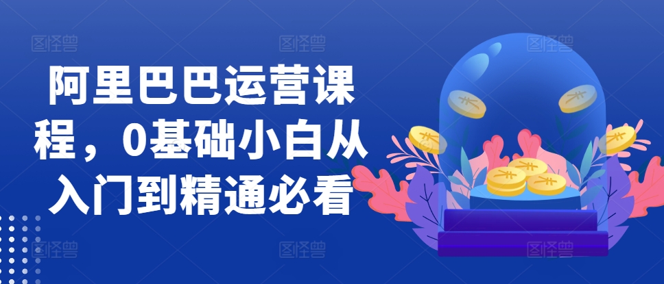 阿里巴巴运营课程，0基础小白从入门到精通必看-甬战资源库