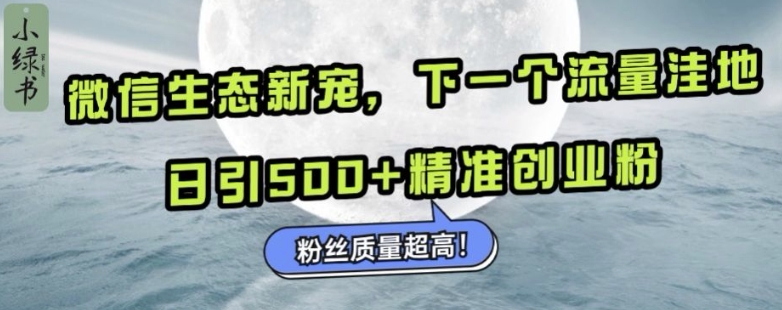 微信生态新宠小绿书：下一个流量洼地，日引500+精准创业粉，粉丝质量超高-甬战资源库