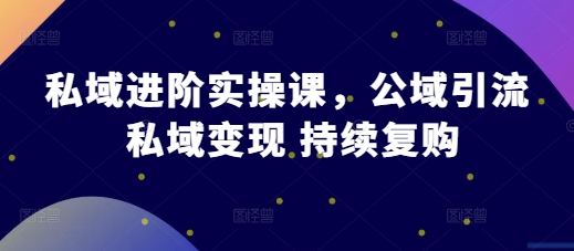 私域进阶实操课，公域引流 私域变现 持续复购-甬战资源库