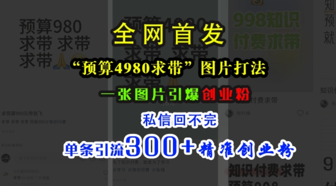 小红书“预算4980带我飞”图片打法，一张图片引爆创业粉，私信回不完，单条引流300+精准创业粉-甬战资源库
