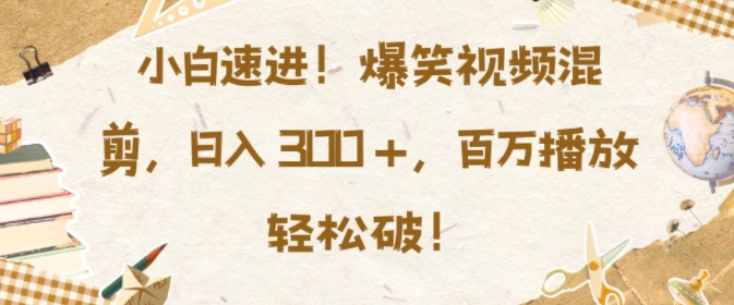 小白速进，爆笑视频混剪，日入3张，百万播放轻松破【揭秘】-甬战资源库