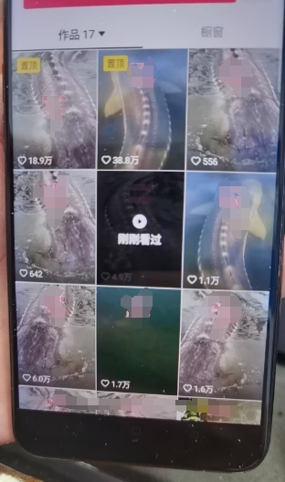 外面卖399的国学佛像原创暴力起号技术，快速起号，7天可达到一个万粉号-甬战资源库