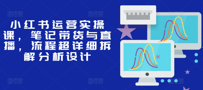 小红书运营实操课，笔记带货与直播，流程超详细拆解分析设计-甬战资源库
