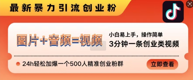 抖音最新暴力引流创业粉，3分钟一条创业类视频，24h轻松加爆一个500人精准创业粉群【揭秘】-甬战资源库