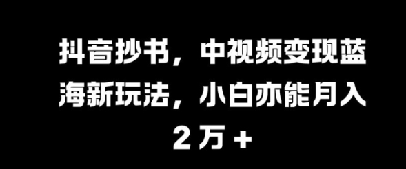 抖音抄书，中视频变现蓝海新玩法，小白亦能月入 过W【揭秘】-甬战资源库