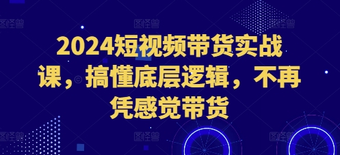 2024短视频带货实战课，搞懂底层逻辑，不再凭感觉带货-甬战资源库