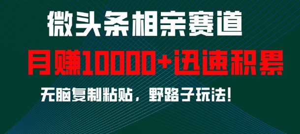 微头条相亲赛道，迅速积累，无脑复制粘贴，野路子玩法，月入1w-甬战资源库