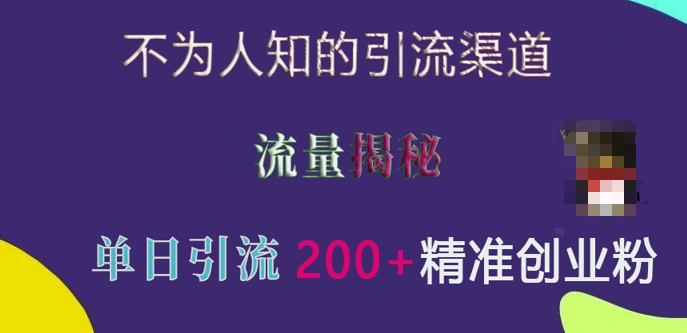 不为人知的引流渠道，流量揭秘，实测单日引流200+精准创业粉【揭秘】-甬战资源库