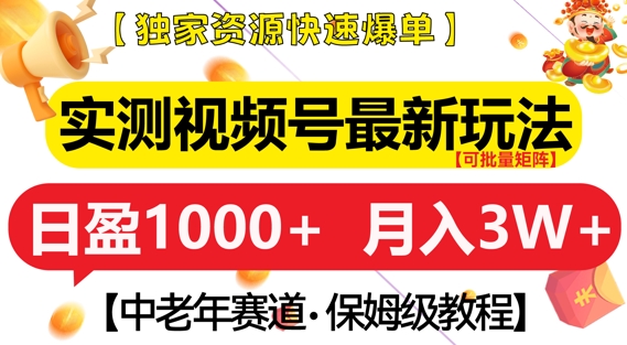 实测视频号最新玩法，中老年赛道，独家资源，月入过W+【揭秘】-甬战资源库