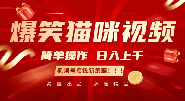 爆笑猫咪视频：简单操作，日入过K，视频号搞钱新策略【揭秘】-甬战资源库