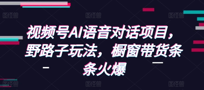 视频号AI语音对话项目，野路子玩法，橱窗带货条条火爆-甬战资源库