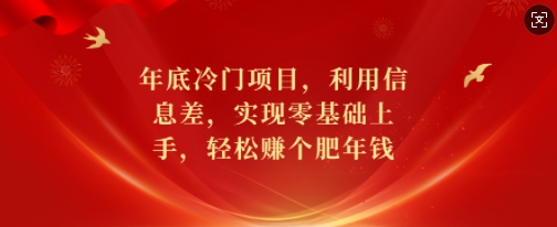 年底冷门项目，利用信息差，实现零基础上手，轻松赚个肥年钱【揭秘】-甬战资源库