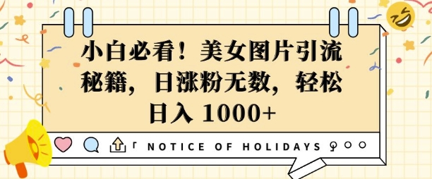 小白必看，美女图片引流秘籍，日涨粉无数，轻松日入几张【揭秘】-甬战资源库