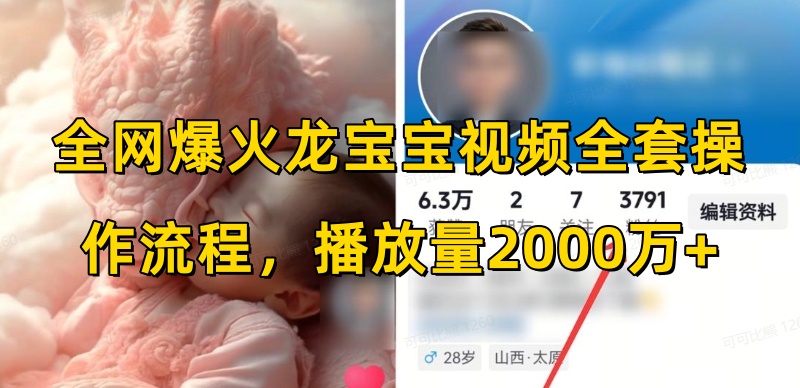 全网爆火龙宝宝视频全套操作流程，播放量2000万+-甬战资源库