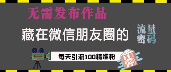 藏在微信朋友圈的流量密码，无需发布作品，单日引流100+精准创业粉【揭秘】-甬战资源库