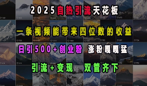 2025自热引流天花板，一条视频能带来四位数的收益，引流+变现双管齐下，日引500+创业粉，涨粉嘎嘎猛-甬战资源库