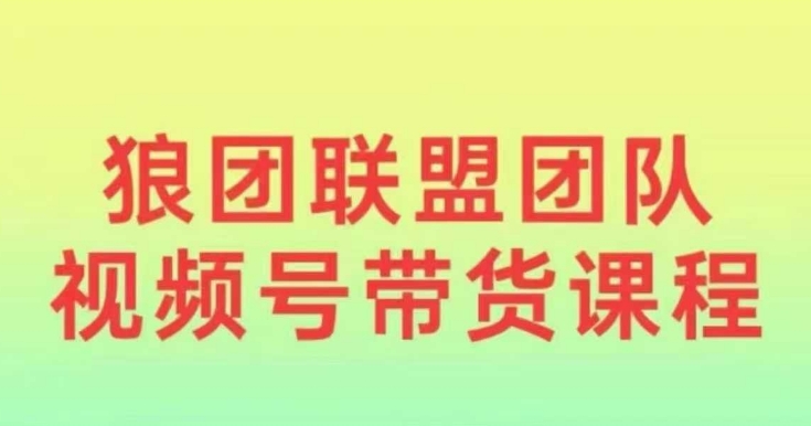 狼团联盟2024视频号带货，0基础小白快速入局视频号-甬战资源库