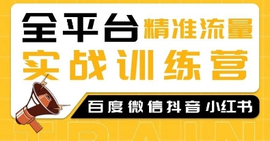 全平台精准流量实战训练营，百度微信抖音小红书SEO引流教程-甬战资源库
