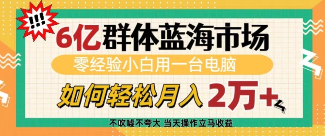 6亿群体蓝海市场，零经验小白用一台电脑，如何轻松月入过w【揭秘】-甬战资源库
