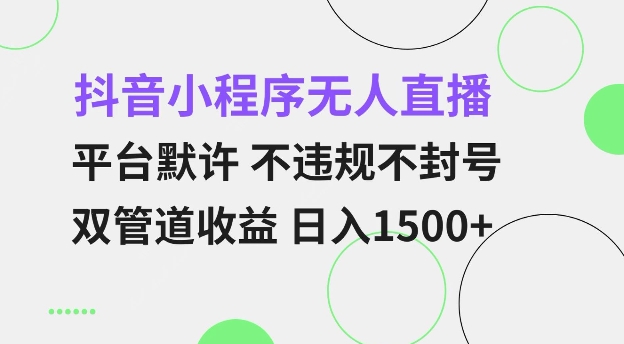 抖音小程序无人直播 平台默许 不违规不封号 双管道收益 日入多张 小白也能轻松操作【仅揭秘】-甬战资源库