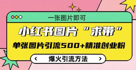 小红书图片‘求带’爆火引流法，单张图片引流500+精准创业粉【揭秘】-甬战资源库