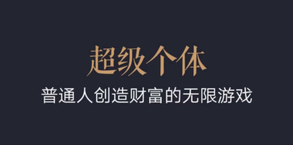 超级个体：2024-2025翻盘指南，普通人创造财富的无限游戏-甬战资源库