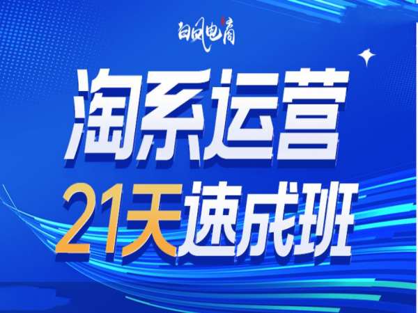 淘系运营21天速成班35期，年前最后一波和2025方向-甬战资源库
